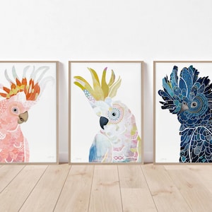 Australian native bird print set of 3,colourful bird decor, bird art, living room decor, wall decor,  Australian bird print, bedroom prints