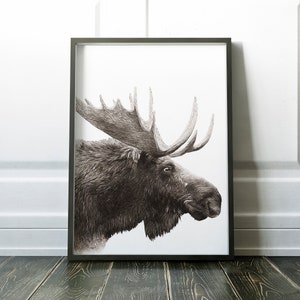 Digital Moose Wall Art Animal Prints Animal Art (Instant Download) - Etsy