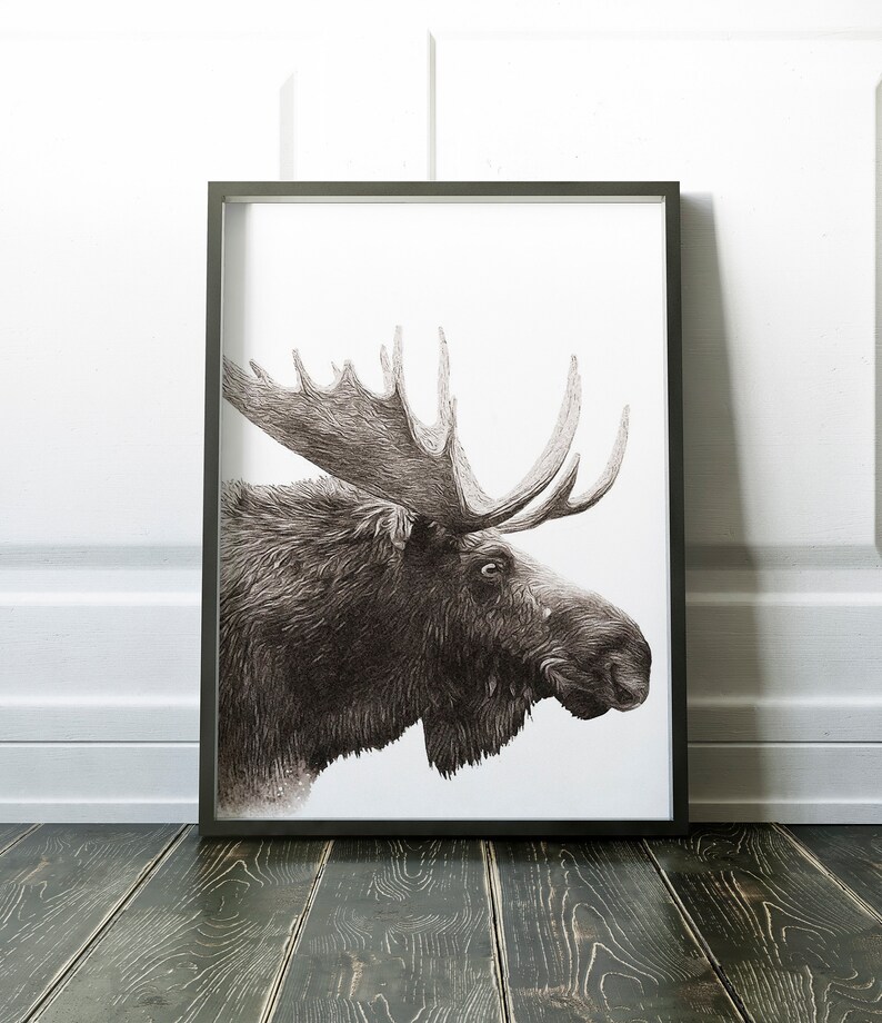 Moose Wall Art Animal Prints Animal Art Monochrome Wall Etsy UK