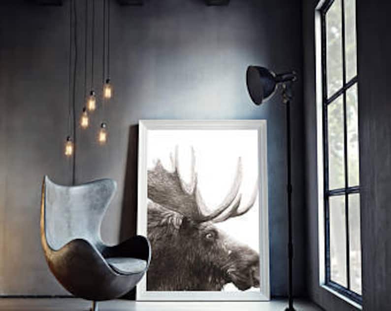 Digital Moose Wall Art Animal Prints Animal Art Monochrome Etsy