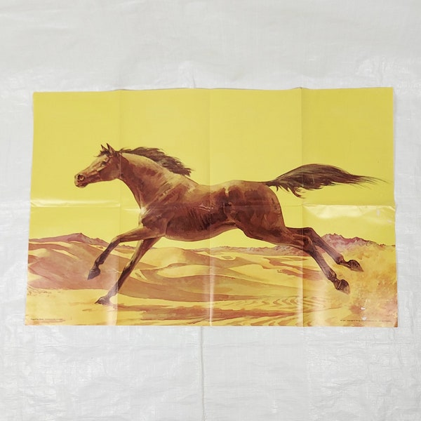 1970s King of the Wind Poster by Scholastic Magazines, 34 x 22 Inches, Vintage Children's Room Western Wild West, Horse Desert