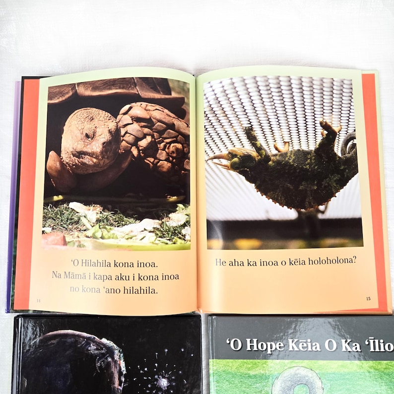 Y2K Hawaiian Language Children's Early Reading Book Set, Lot 4, Vintage ...
