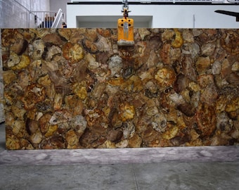 Brown Petrified Wood Coffee Table Top | Natural Fossil Wood Side Table for Garden or Hallway Decor | Unique Live Edge Kitchen Slab