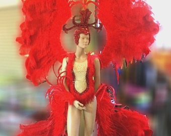 Da NeeNa C050N Vegas Showgirl Burlesque Festival Samba Wings Costume Set