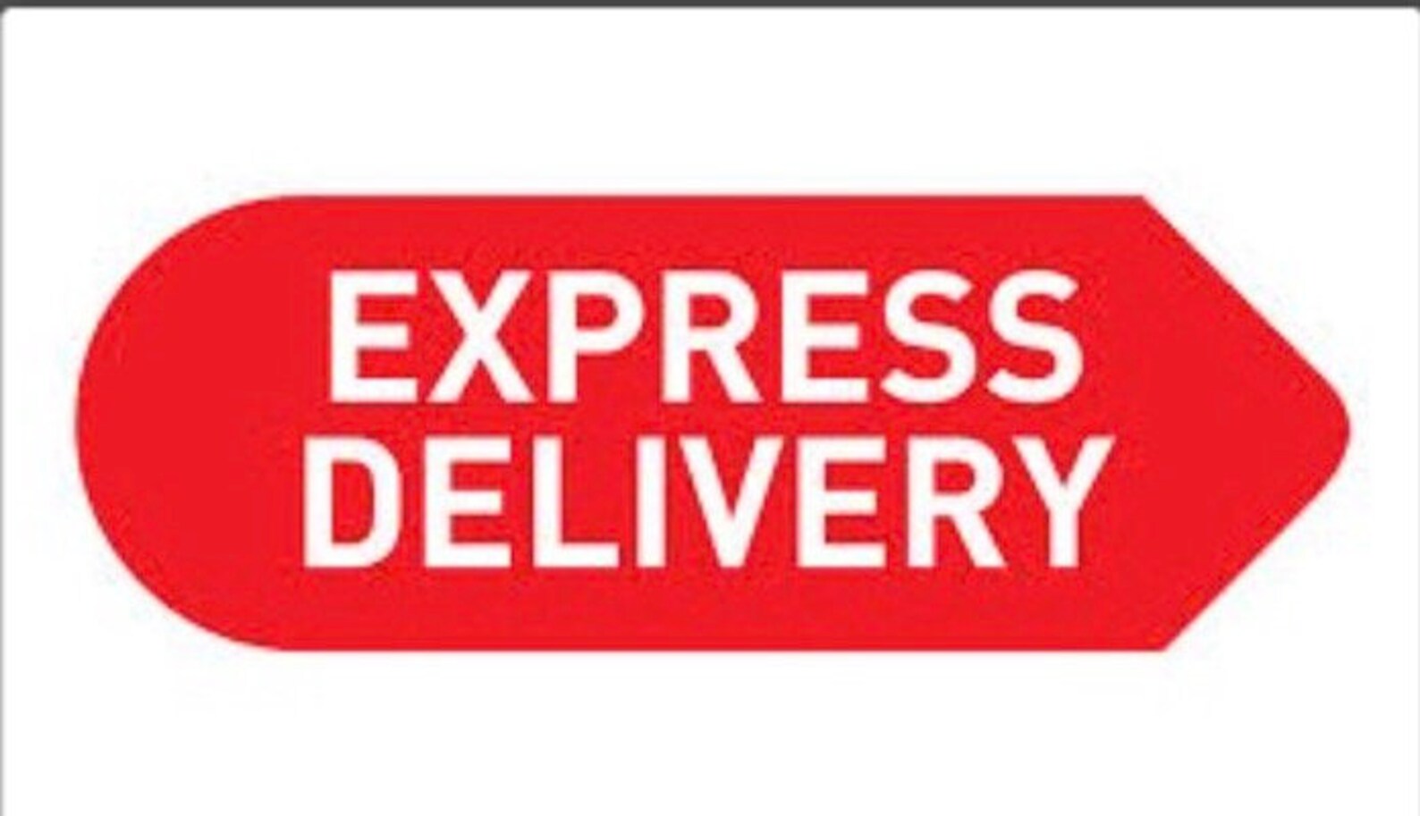 Pussy Express