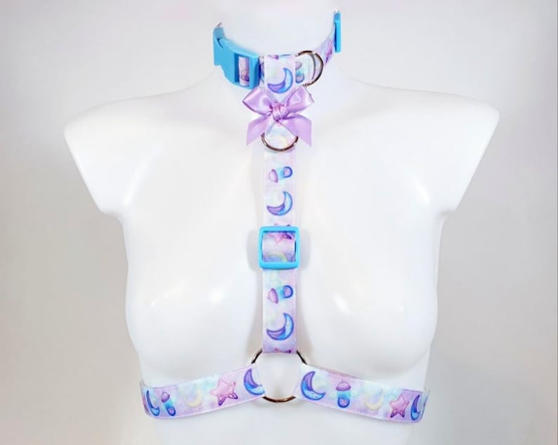 May include: A light blue and purple patterned harness with a light blue choker and a light purple bow. The harness has adjustable straps and metal rings.