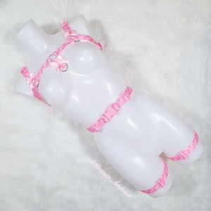 The Pink Pawprint Petplay Puppy Kitten Bulldog Style and Lower Body Tail Harness Set with Optional Collar and Leash