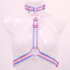May include: A pink, white, and light blue harness and choker set. The choker has a small bow and a silver charm. The harness features a matching bow and metal rings. The set is displayed on a white mannequin.