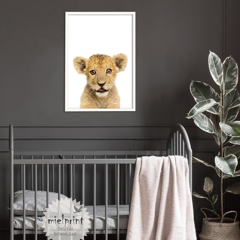 Baby Lion Print Safari Nursery Printable Art Baby Animals Etsy