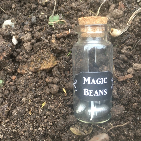 Trinket MAGIC BEANS miniature bottle party favour, fairytale gifts, childrens party favour, unique giftss