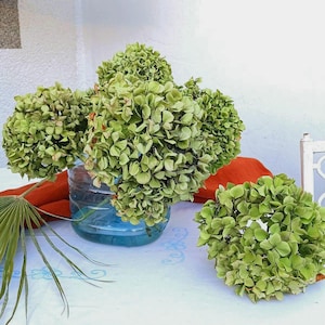 3 Stems Dried Antique Green Hydrangea: Farmhouse Rustic Bouquet