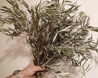 Dried Organic Olive Branches: Boho Fall Bouquet, Vase Filler