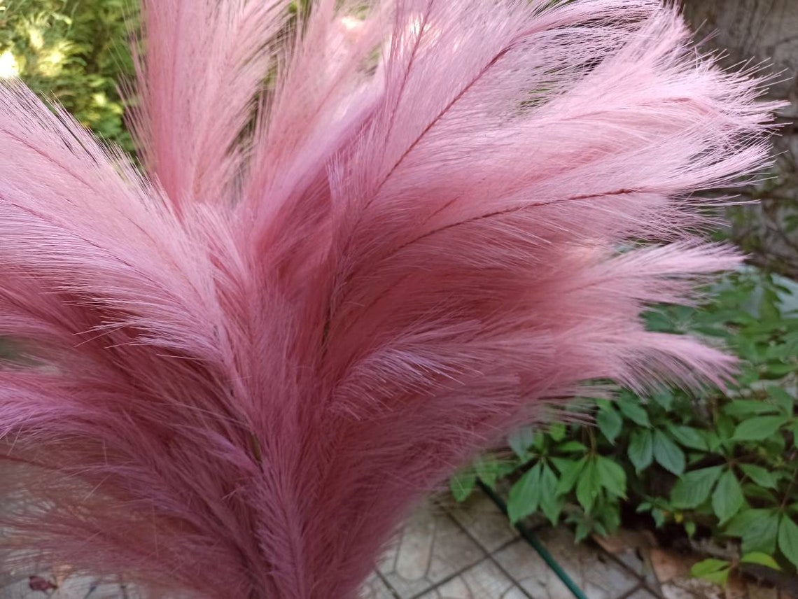 Artificial EXTRA Pampas Grass One1Stem 45InchesLong Etsy