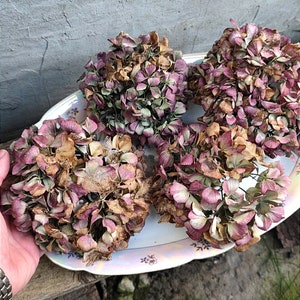 May include: Four dried hydrangea flower heads in shades of pink and brown arranged on a white oval platter with a floral design.