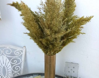 100 cm Olive Pampas Blumenstrauß: Natürliche Trockenblumen