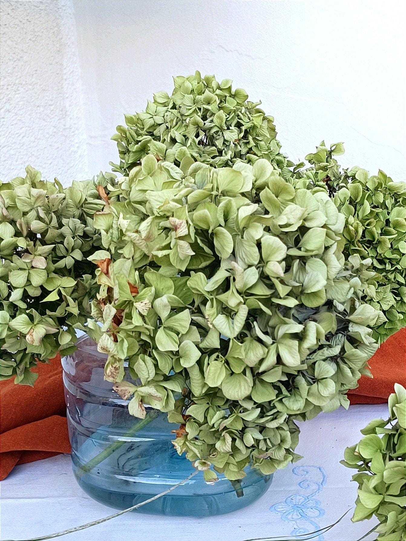 La multitudinaria boda de Arantxa del Sol ('Supervivientes 2024') y Finito  de Córdoba hace ahora más de 22 años, image size:1342x1789