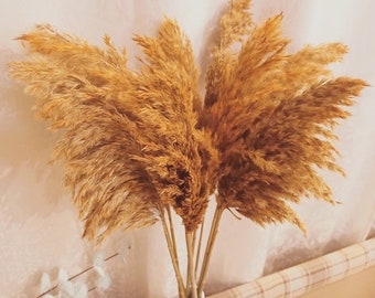 Orange-Gelbe Pampas Stengel: Boho Herbst Hochzeit Tischdeko 66/100cm
