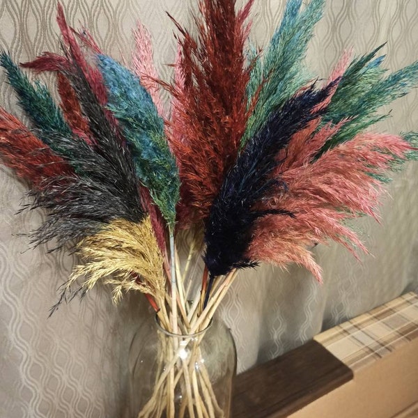 RAINBOW PAMPAS GRASS Mix Multi-Color, Dried Flower for Living Room Decor, Boho Wedding, Flower Arranging, Natural Pampas  Bouquet, Tall Vase