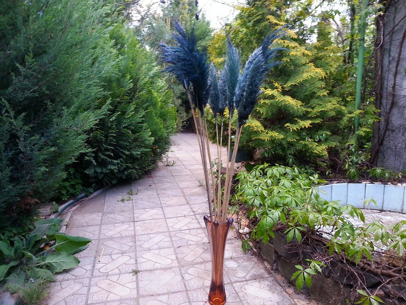 Pampas Grass NAVY BLUE ONE1Stem/Dry Pampas Grass/Dried Etsy