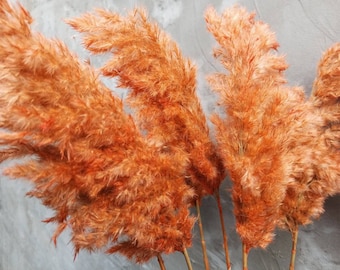 FLUFFY Natural Pampas Grass/AUTUMN ORANGE Colored/One(1)Stem/Dried Flowers/Tall Vase/Wedding Decor/Long Plumes/Boho Arangement,Table Decor