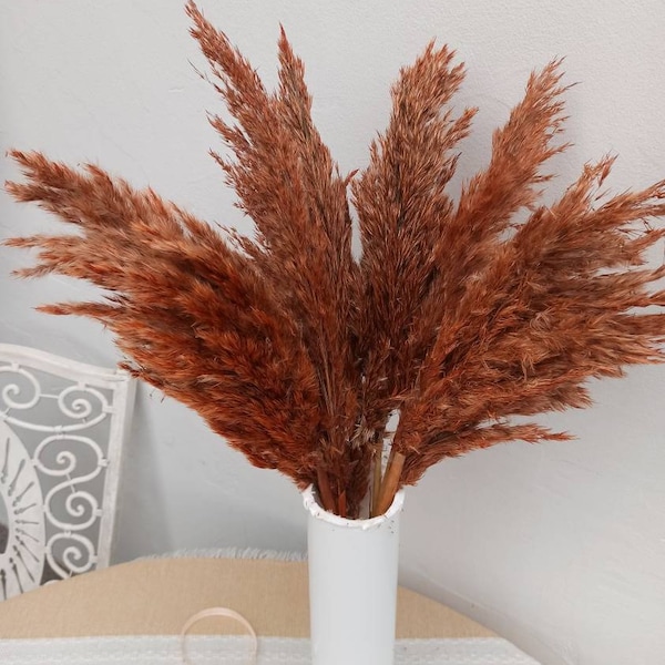 FLUFFY Pampas Grass Orange-Terracotta Color, One(1)Stem, Wedding Arch, Home Decoration, Tall vase, Dry Flowers Bouquet, Floral Arrangement