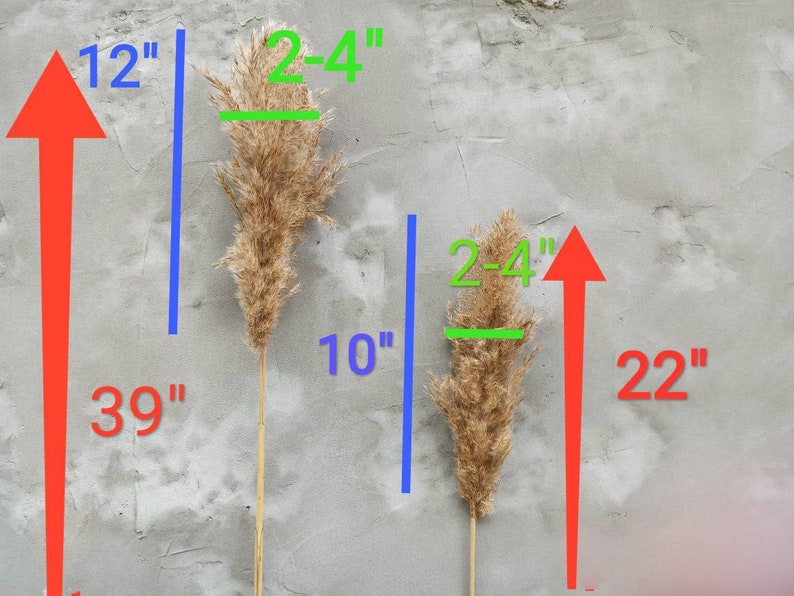 40 Navy Pampas Grass Navyblue Decor Tall Vase Etsy