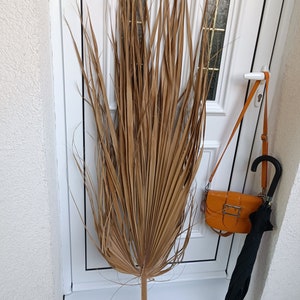 Jumbo Dried Palm Leaf: Natural Boho Wedding Decor (54&quot;)