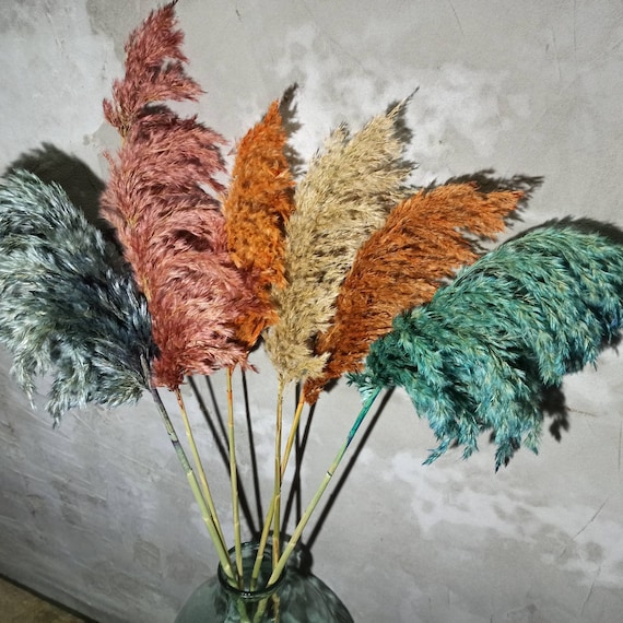 VIDSTW 30 Pezzi Pampas Decorative 55 Cm Erba Di Pampa Fiori Secchi Decorativi Piume Decorative Fiori Secchi Decorativi Decorazioni Casa Per Vaso, Per Decorazioni Matrimonio, Decorazione Casa (Bianco - 8