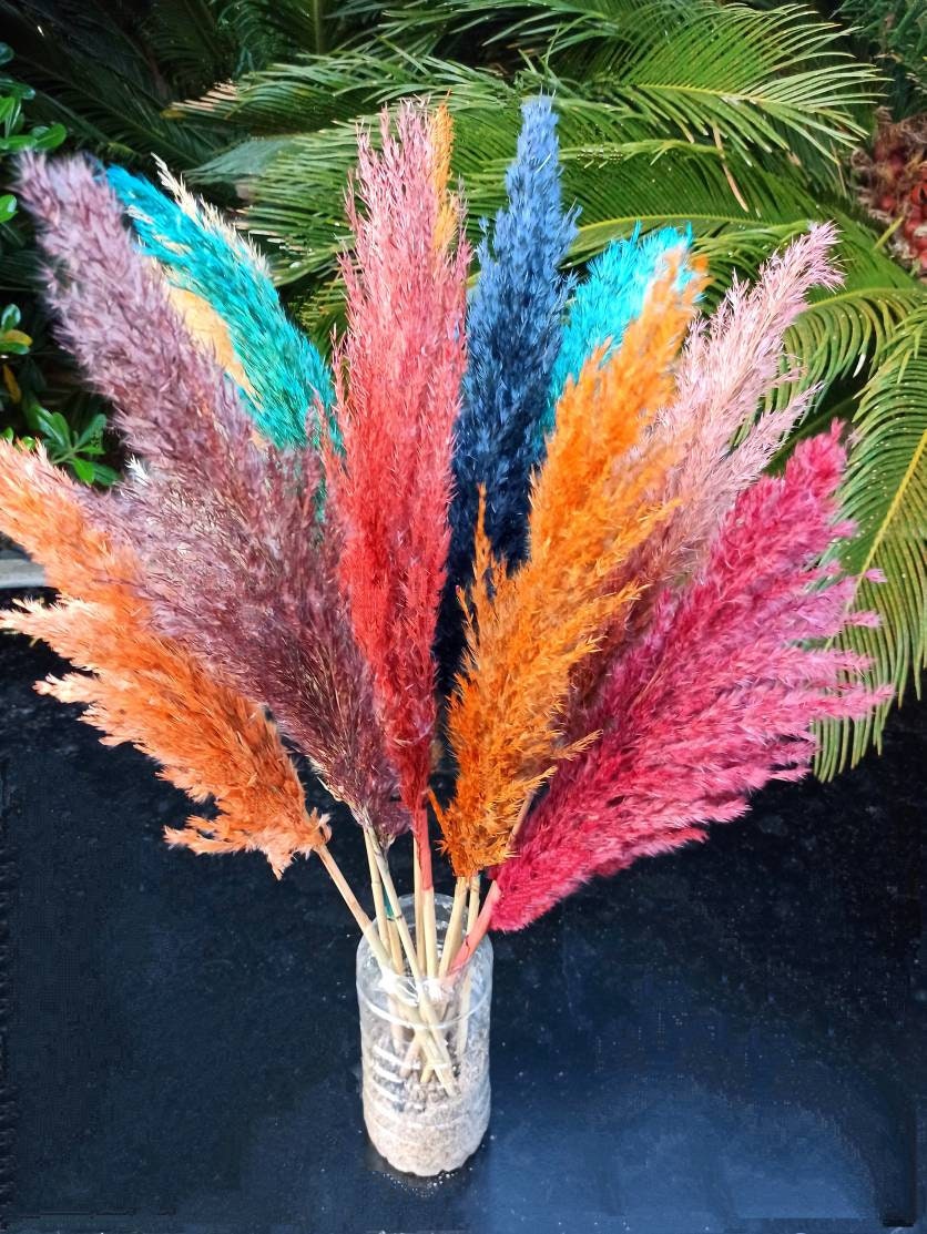 Pink Pampas Grass Decor, Natural Dried Flowers, 17 inches, 10 Stems,  Colorful Pompas Floral, Colored Feathers, Plants for Living Room Decor,  Weddings