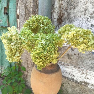 Dried Antique Hydrangea Bunch: Old Green Tone, Farmhouse Decor (4 Stems, 20-30cm Length)