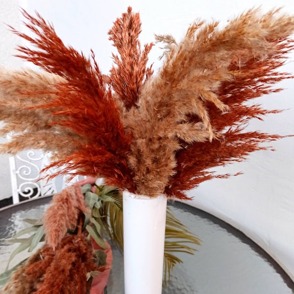 LUX Mix Pampas Grass ALURA Decor,Red-Rust-Natural Tone, Bohemian Chic Scene, Dried  Flower Arrangement, Tall Vase, Wedding, Pampas Bouquet