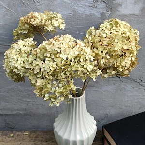 May include: Dried hydrangea flowers in a light grey ceramic vase with a fluted design. The vase is sitting on a wooden surface with two black books.