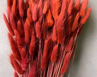 Burnt Orange Bunny Tails: 150 PCS Dried Lagurus Grass, Fall Wedding Decor