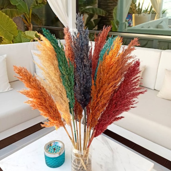 COLORFUL LUX MIX Pampas Grass, Rainbow Decor for Home Room, Party-Colored, Dried  Flower Arangement, Tall Vase, Boho Wedding, Pampas Bouquet