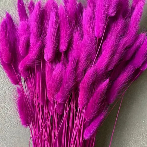 LARGE Bunny Tails Bunch 150PS, Neon Pink Tone, Natural Lagurus Gorgeous Pink Vibrant Dried Grass, Boho Wedding, Chic Home Decor, Baby shower