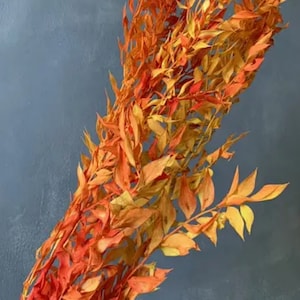 Dried Ruscus Branch: Fall Orange-Yellow Rustic Home Decor