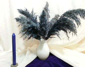 PAMPAS GRASS/NAVY-Blue/Wedding arch/One (1) stem price/Tall centerpieces/Dried Flowers Bouquet/Floral Arrangement/Tall Vase/Dried Flowers