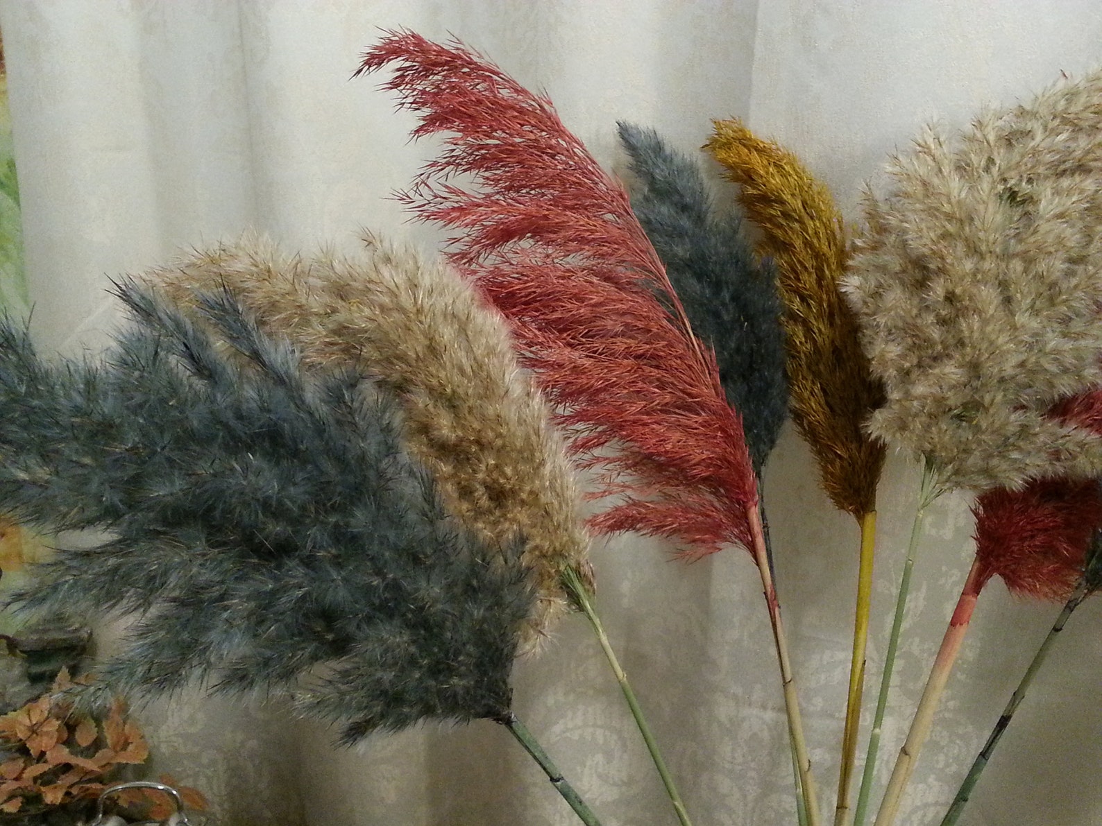 PAMPAS GRASS Mix810stem/Dried Flowers/Natural Pampas/Wedding Etsy