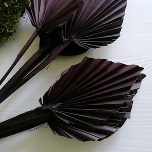 Dried Palm Spear: Brown Boho Decor, Flower Arrangement (1 Stem)