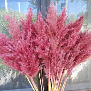 Bouquet d'herbe de la pampa ROSE 10 tiges, floral pour décoration d'intérieur, mariage bohème, grand vase, fleurs séchées, bouquet de pampa sec naturel, fête rose
