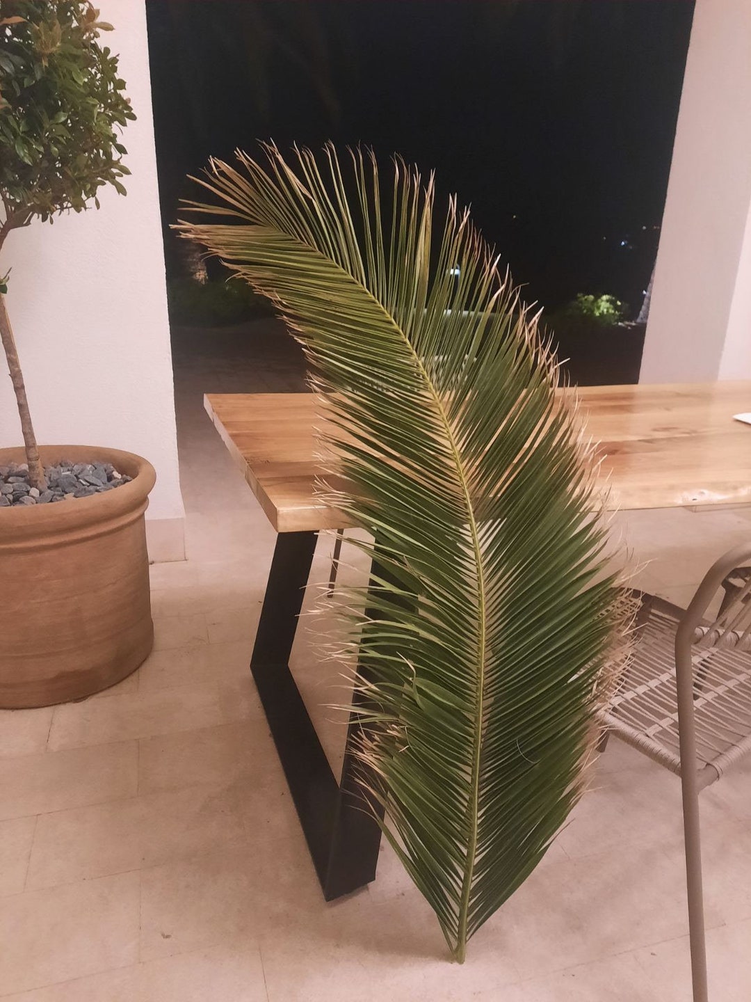 TALL Dried Date Palm Leaves 4 1 ft 2 Stem Jumbo Palm Natural Palm tall-dried-date-palm-leaves-4-1-ft-2-stem-jumbo-palm-natural-palm