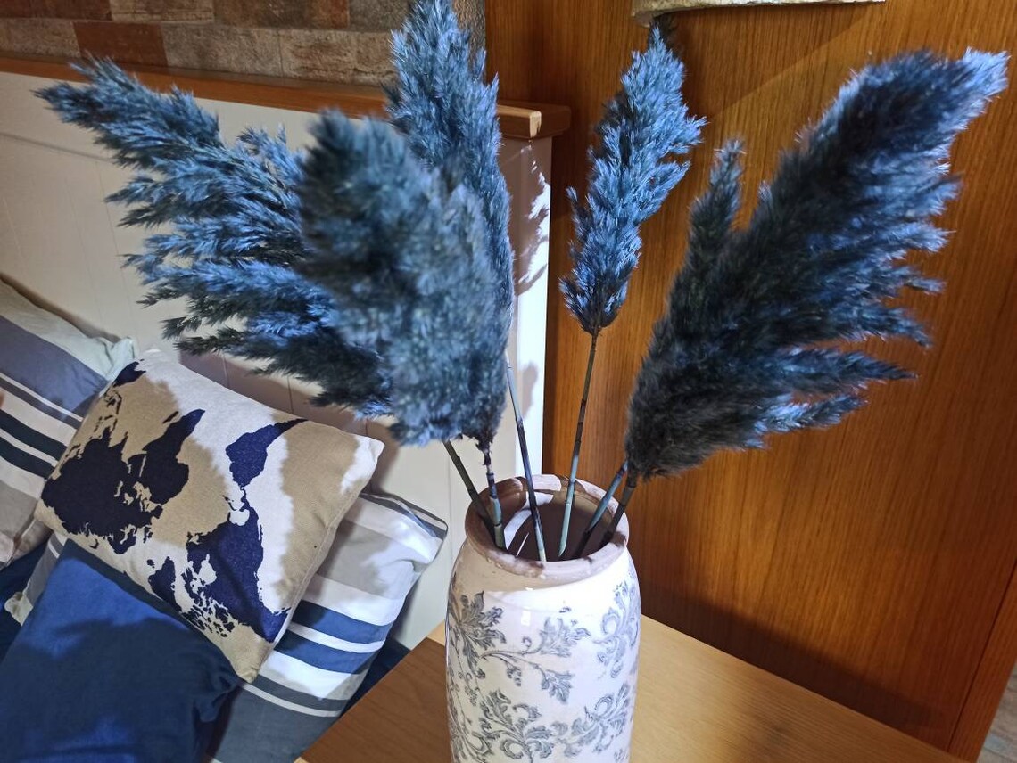 EXTRA NAVY BLUE Colored Pampas Grass/Long Plumes/One 1 Stem Etsy