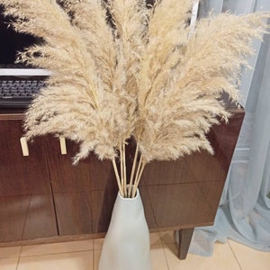 Natural Dried Pampas Arangement 40&quot;, One Stem, Light Stylish Floral Design, Pampas Shower, Boho Wedding Bouquet, Joyful Soft Tone, Back Drop