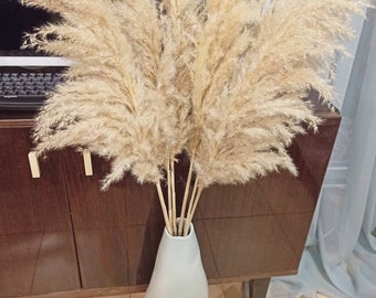 Natural Dried Pampas Arangement 40&quot;, One Stem, Light Stylish Floral Design, Pampas Shower, Boho Wedding Bouquet, Joyful Soft Tone, Back Drop