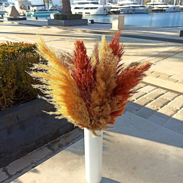 LUX Mix Pampas Grass, Autumn Decor, Natural-Terracotta Color, Dried  Flower Arrangement, Tall Vase, Terracotta Wedding, Pampas Bouquet