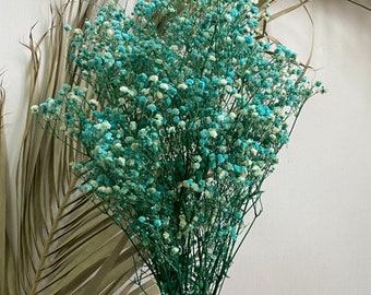 Natural Preserved Baby's Breath Bunch 28", Teal Coloured Baby's Breath, Natural Gipsophilia, Preserved Gipsophilia, Antique Tone Decor