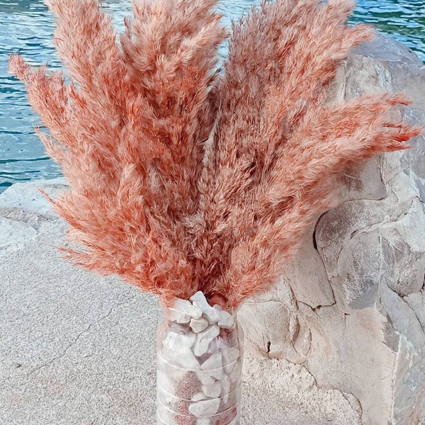 PINK-CORAL Pampass Grass, Dry Flower Arrangement for Home Decor, Boho Wedding, Dried Flower Bouquet, Tall Centerpieces Vase, Pink Arch