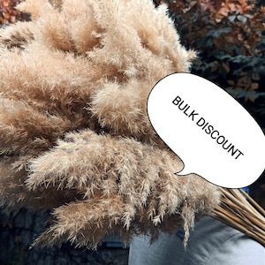 Puede incluir: Un gran manojo de hierba de la pampa seca con un bocadillo que dice "Bulk Discount".