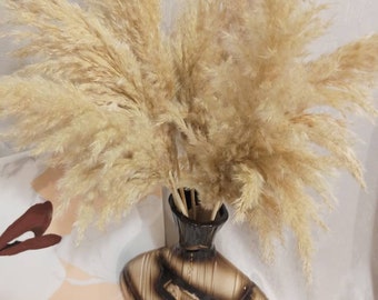 Flauschige Sahne Pampas wächst in der Ukraine: 24/40 "Boho Wedding Aisle Arrangement