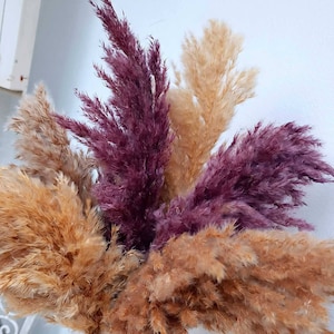 May include: A bouquet of dried pampas grass with three different colors: beige, light brown, and burgundy.